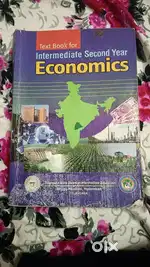 Intermediate second year economics