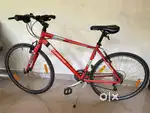 Firefox cycle