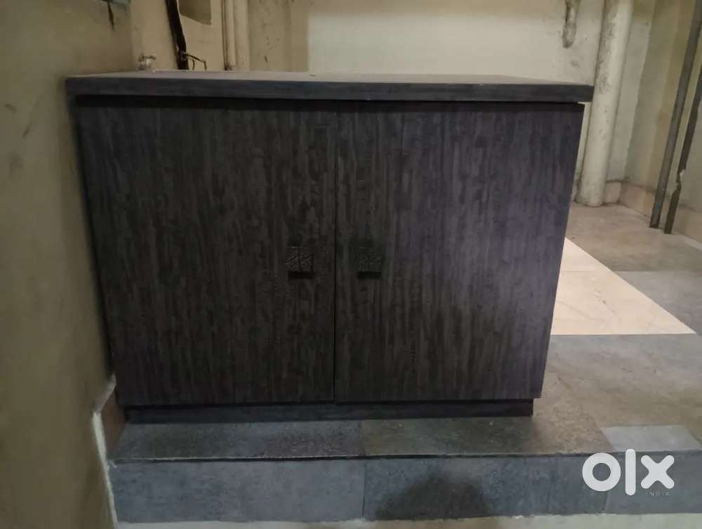 Shoe rack with doors