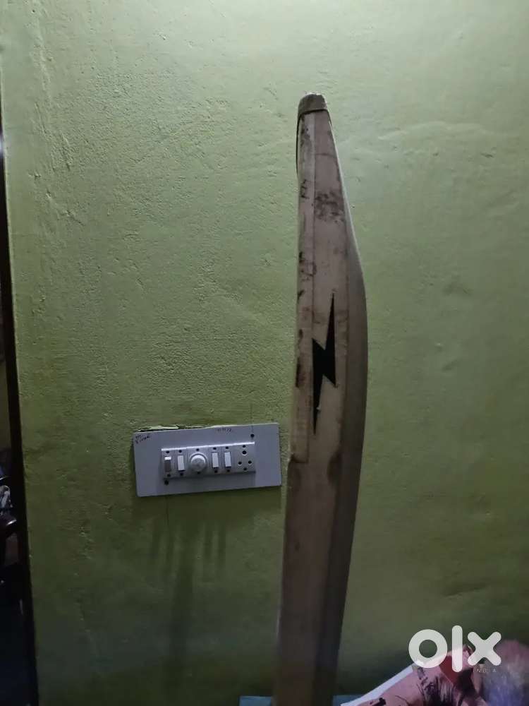 BDM english willow bat.