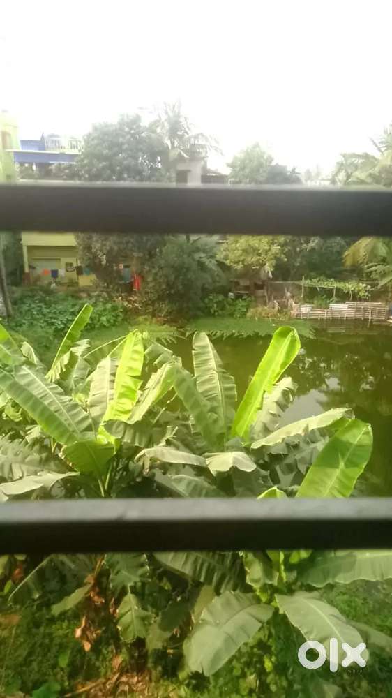 Racket 1 piece contact me main tumko picture de dunga