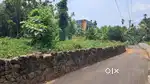 Angamaly karayamparambu 23 cent house plot for sale