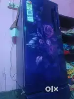 New fridge