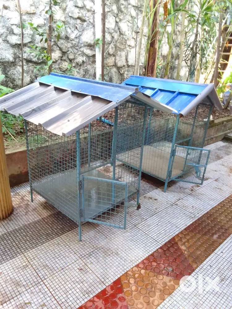 New dog kennel for sale