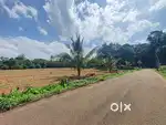 തൊടുപുഴ കദലിക്കാട് 16,12,10 സെൻ്റ് ഹൗസ് പ്ലോട്ട് വിൽപ്പനക്ക്