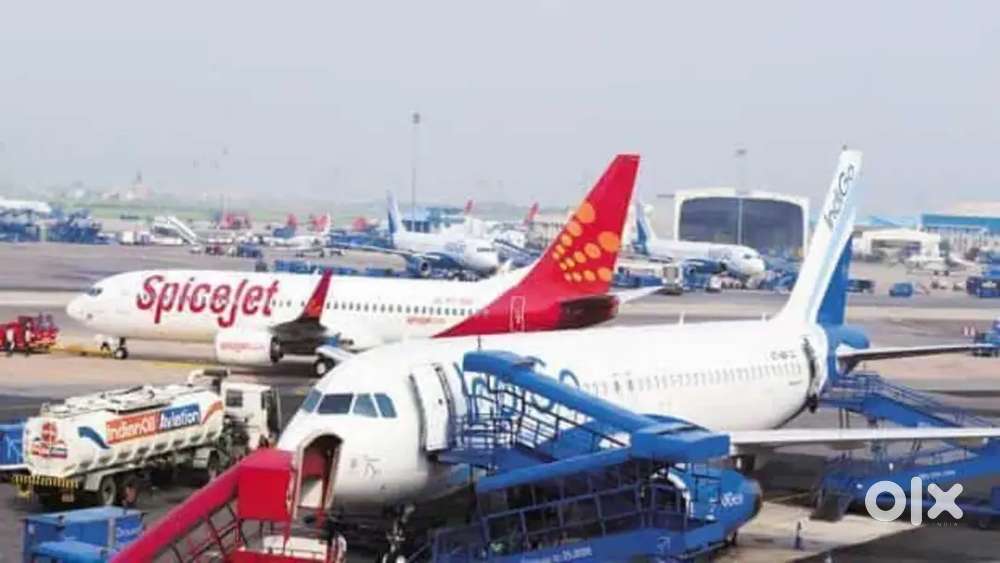 Cabin Crew/ Airport Ground Staff Jobs in Indigo airlines.
