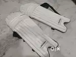 Rajsu cricket leg guard