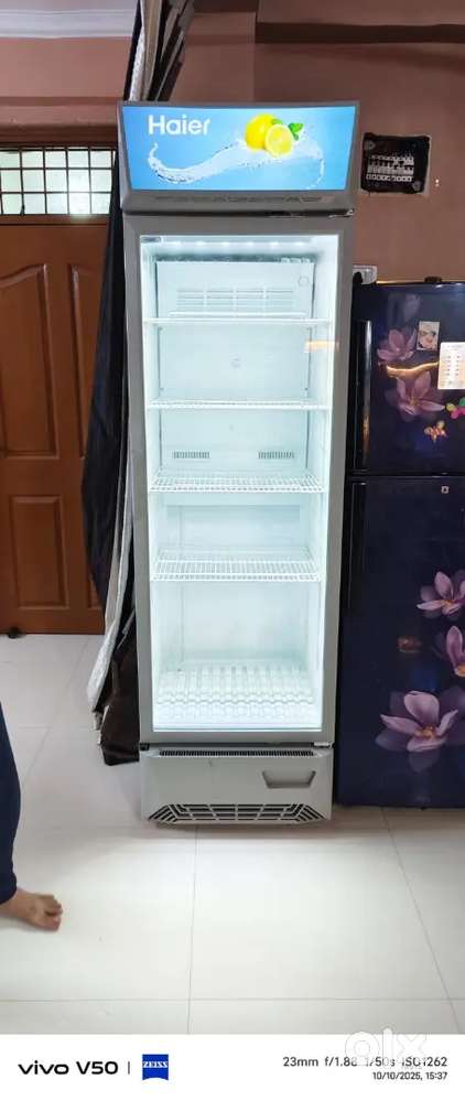 6th month old Fridge for Store Double Highted Fridge