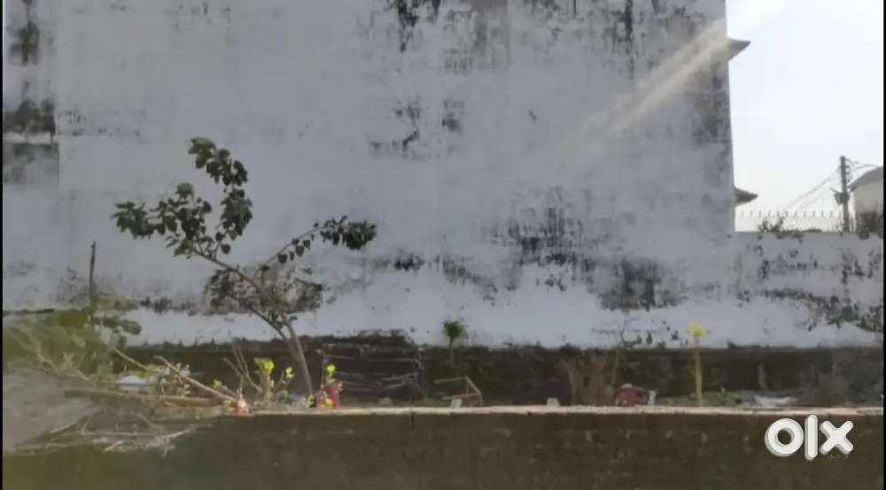 18561856 sqft registry plot in  location Market road sai150meter per