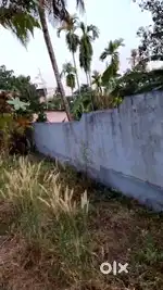 Plot for residential purpose