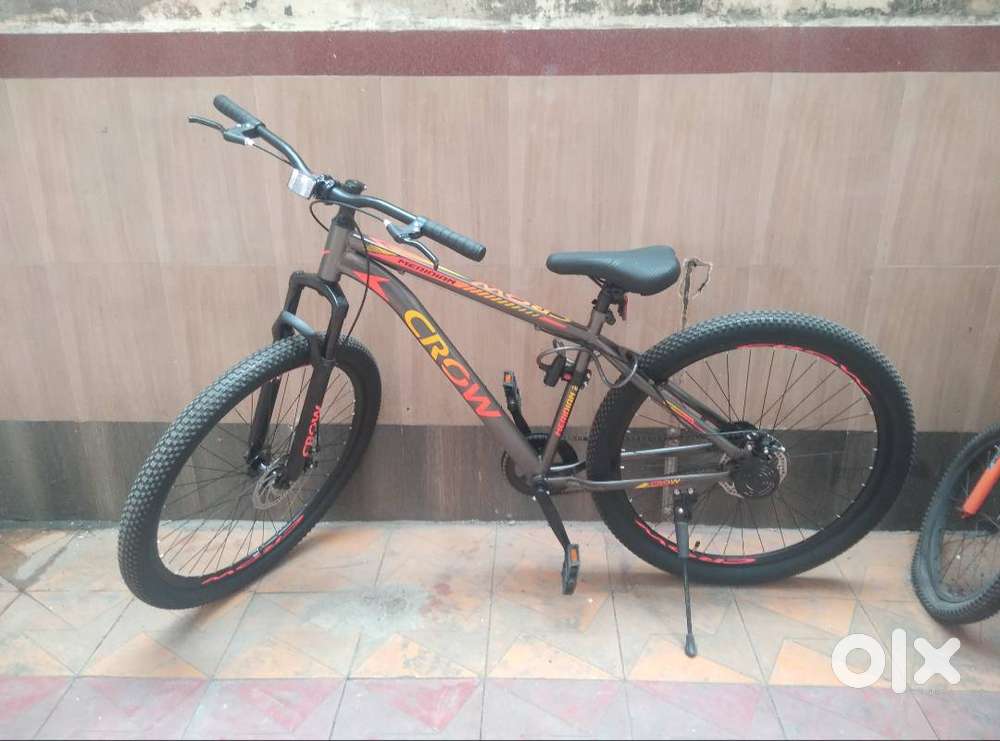 Crow cycle mountain cycle