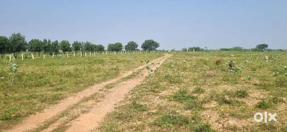 600 Sq.yards Plot for Sale in Guntur
