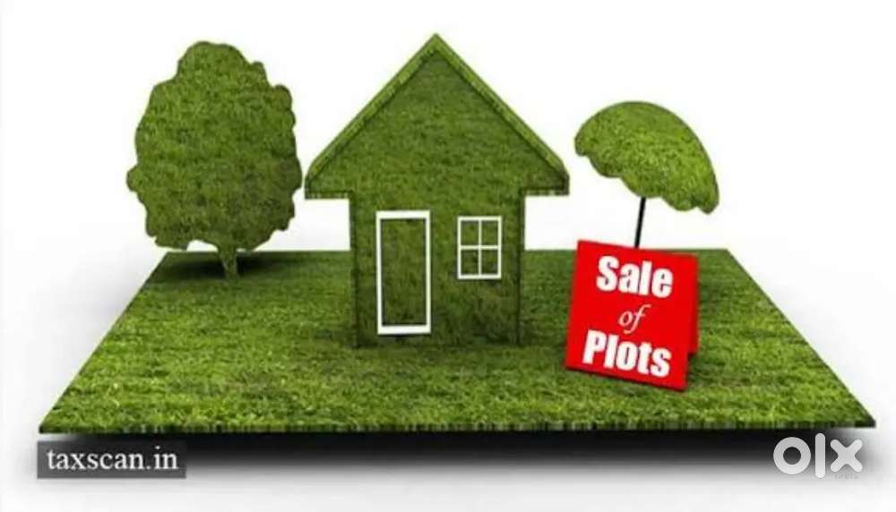 Plot for sale