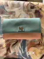 Baggit Clutch in good condition