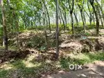 2.25 acres land ,45000 per cent