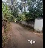 വർക്കല പാലച്ചിറ മെയിൻ റോഡിൽ നിന്നും 50 metre 10Cent വസ്തു വില്പനയ്ക്ക്