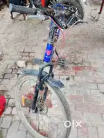 1 year old cycle