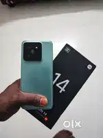 Xiaomi 14 Green Colour