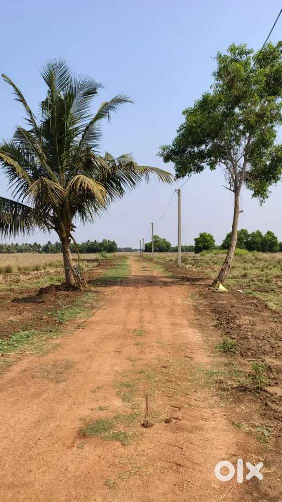 Dashara offer by duplex at laeow cost @100000
