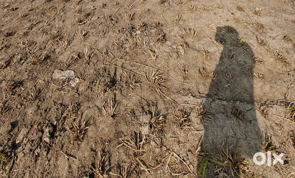 3 Kanal Milkyat Residential Area.