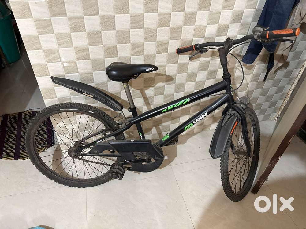 Vintage gowin bicycle