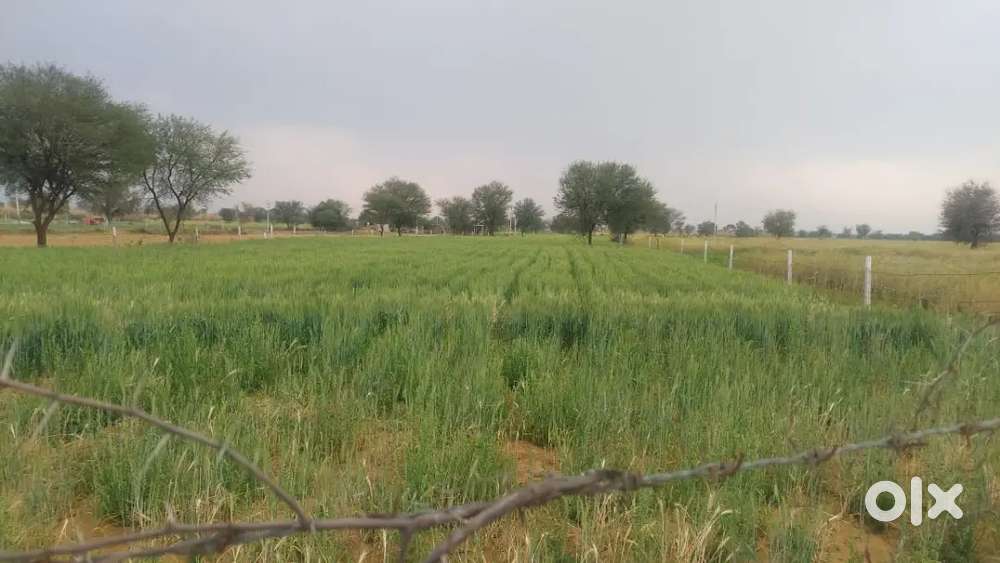 UIT Approved plot on Jaipur Bikaner Bypass, Near Prince Academy.