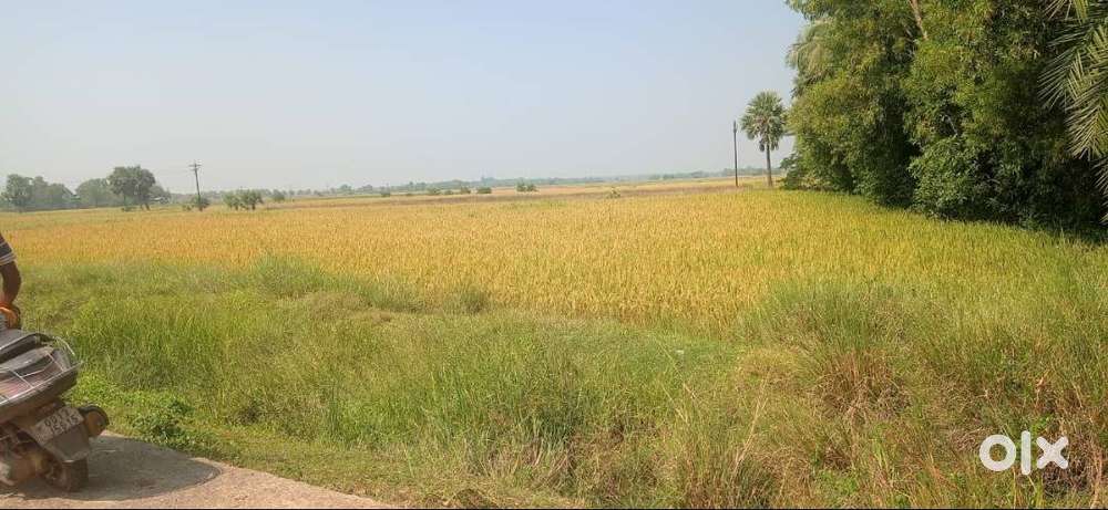 Affordable Plot in a Fast-Growing Area