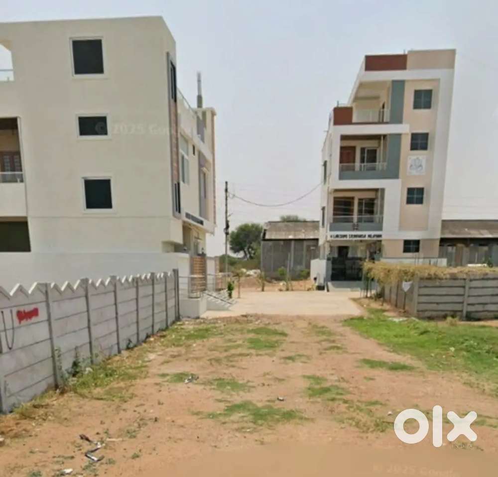 Kistareddypet1000 sqds for Sale