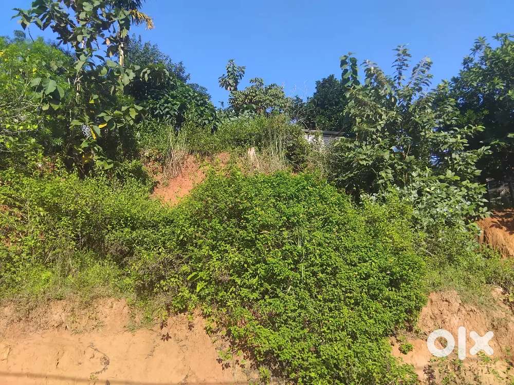 Aksonia land 1kotha 15 lesa