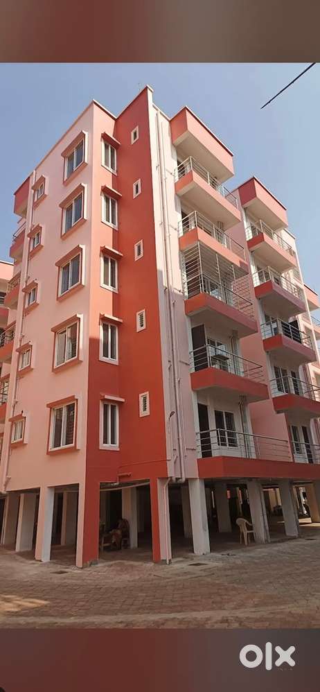 Need a Male Flatmate