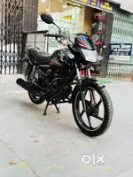Honda shine