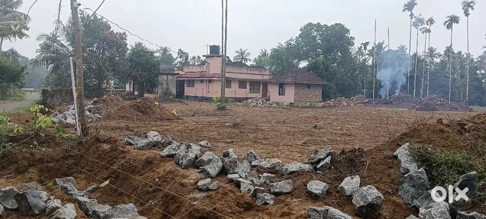 3 KM ANGAMALY K S R T C STAND 4,5,8, 10 CENT PLOTS AVAILABLE