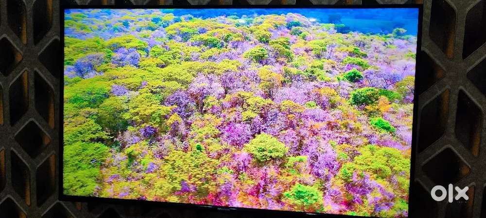 Hisense 43 inch 4K Dolby vision LED TV