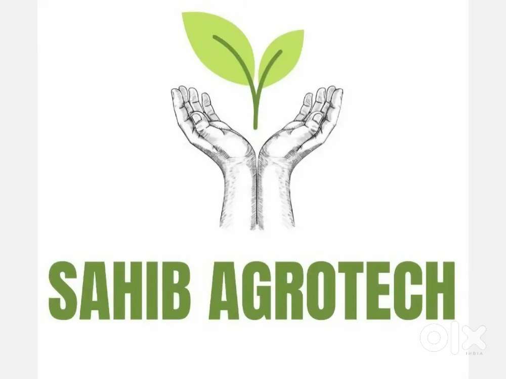 Accountant  for rice mill