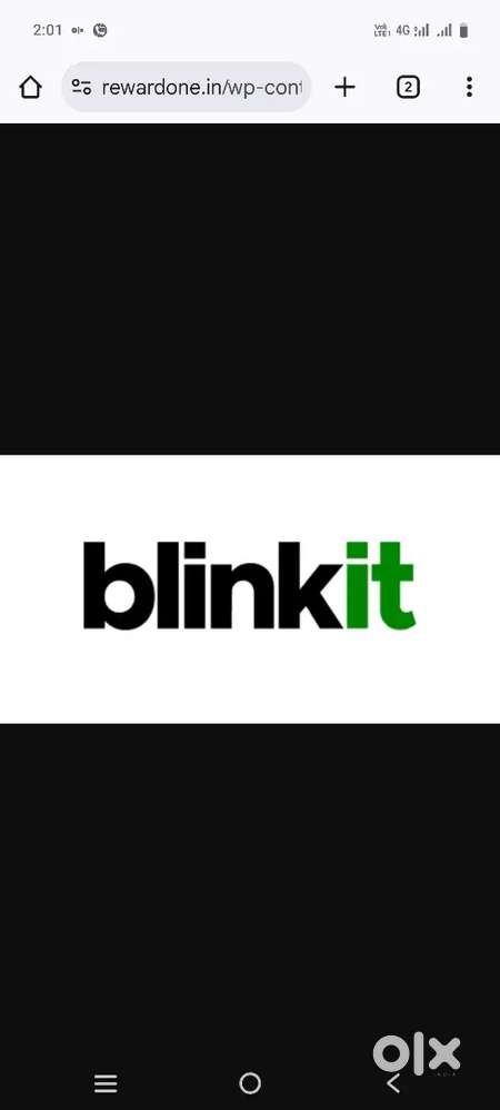 Blinkit delivary partner