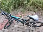 Animer MTB 7*3 speed size 24
