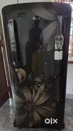 LG fridge single door