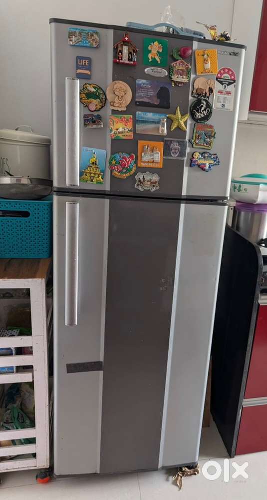 Referigrrator for sale
