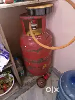 Full bachelor combo