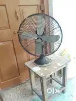 Fan cinni best condition