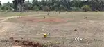DTCP LAND 100% BANK LOAN LOW  BUDGET