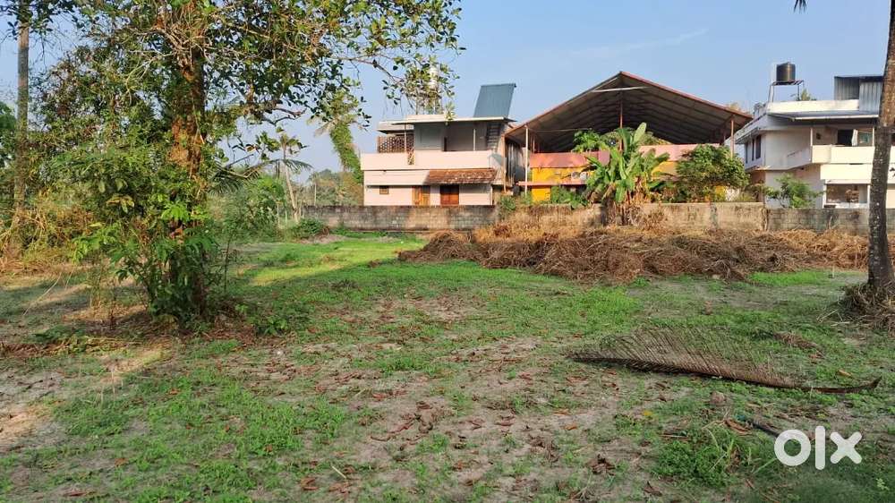 Plot for sale near Kandeswaram Temple, Irinjalakuda.Plots 3,5-10 cent