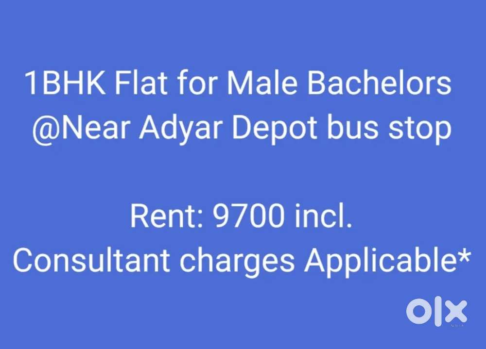 1BHK Flat for Bachelors #Apartment