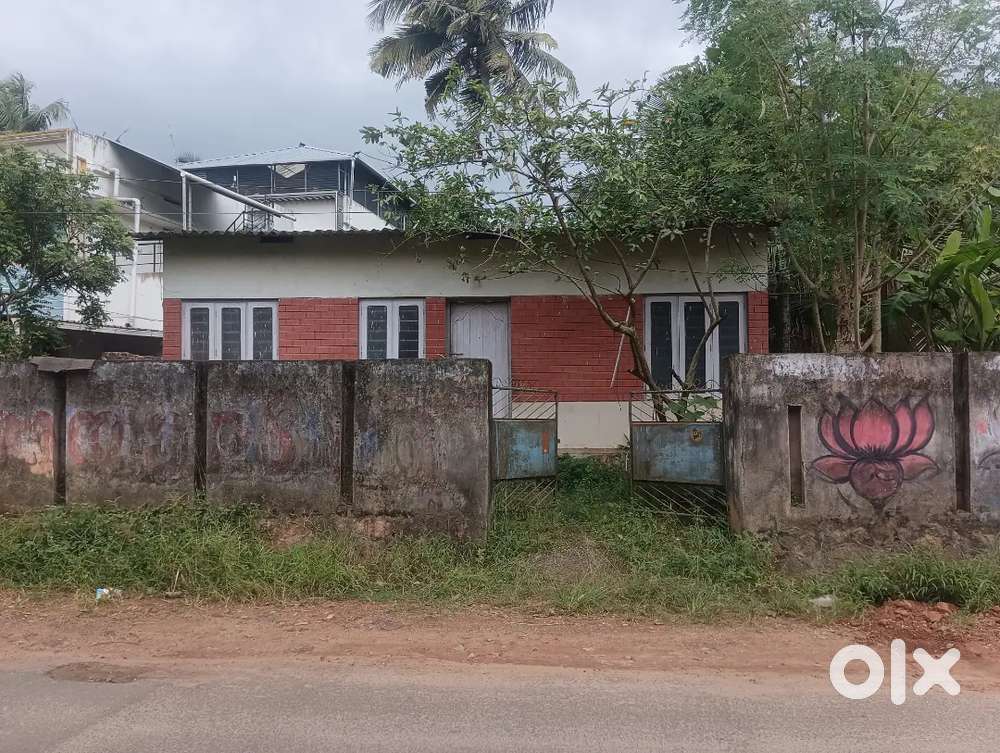 4 cent with a small house for sale