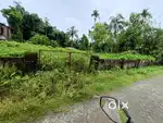 Roadside plot at Milanpur