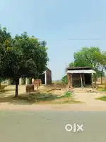 हाइवे पर 3.5 bissa (2400 sq feet) प्लॉट है पंखबारी बस्ती में।