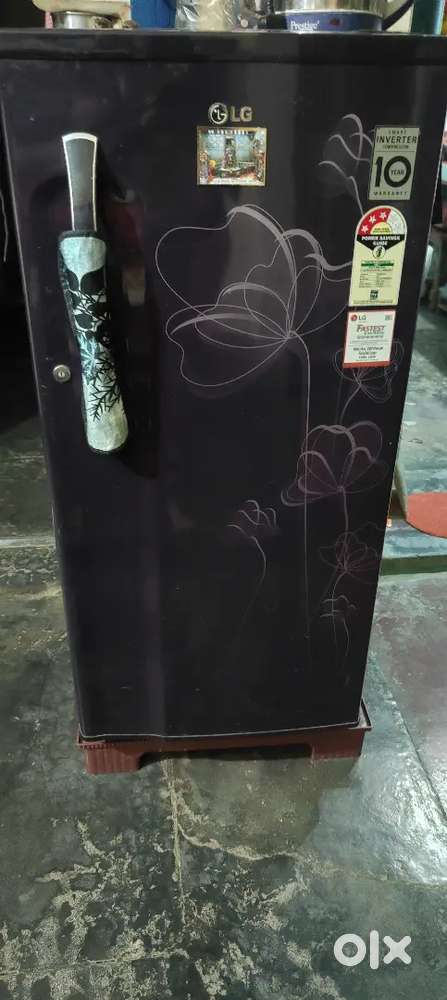 LG Fridge (refrigerator)