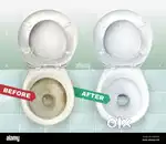 Bathroom cleaning and general cleaning