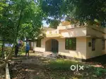 House and plot