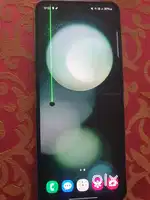 Z Flip 5 Green Colour